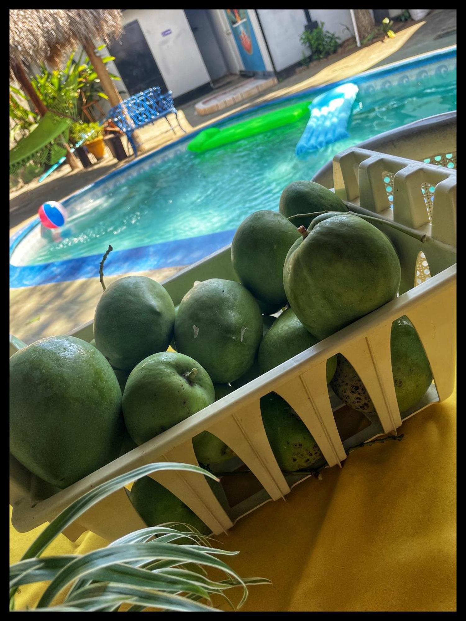Managua Hotel Oasis 外观 照片